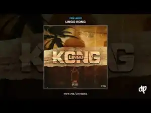Lingo Kong BY YRN Lingo